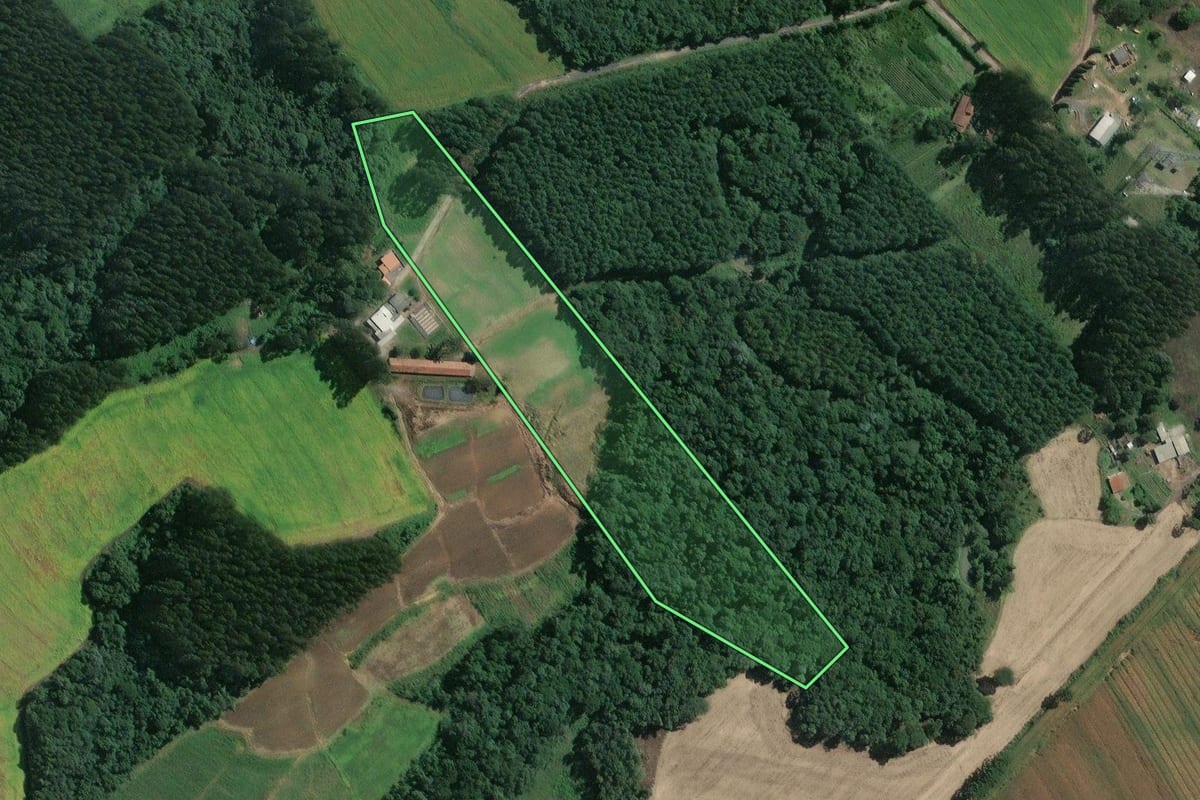 Imagem de satélite do imóvel rural em Mafra (SC), com o contorno declarado no CAR desenhado por cima.