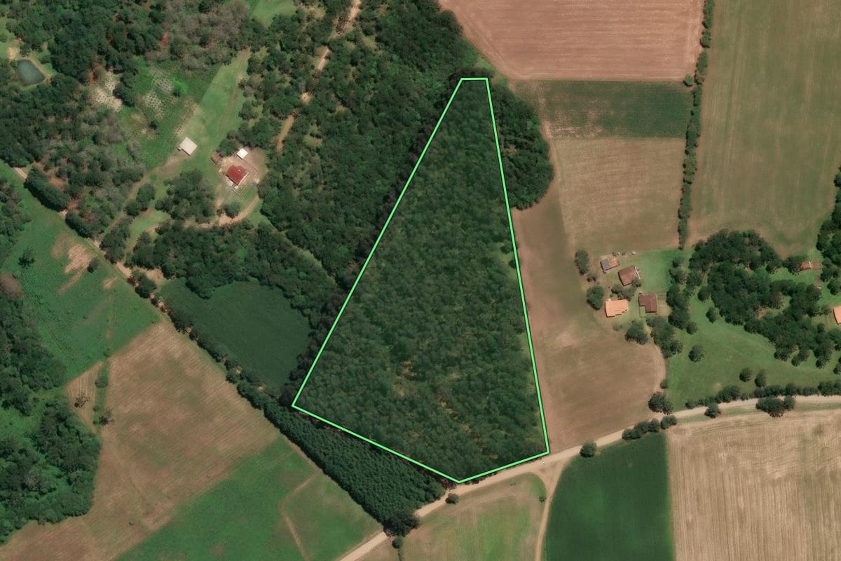 Imagem de satélite do imóvel rural em Mafra (SC), com o contorno declarado no CAR desenhado por cima.