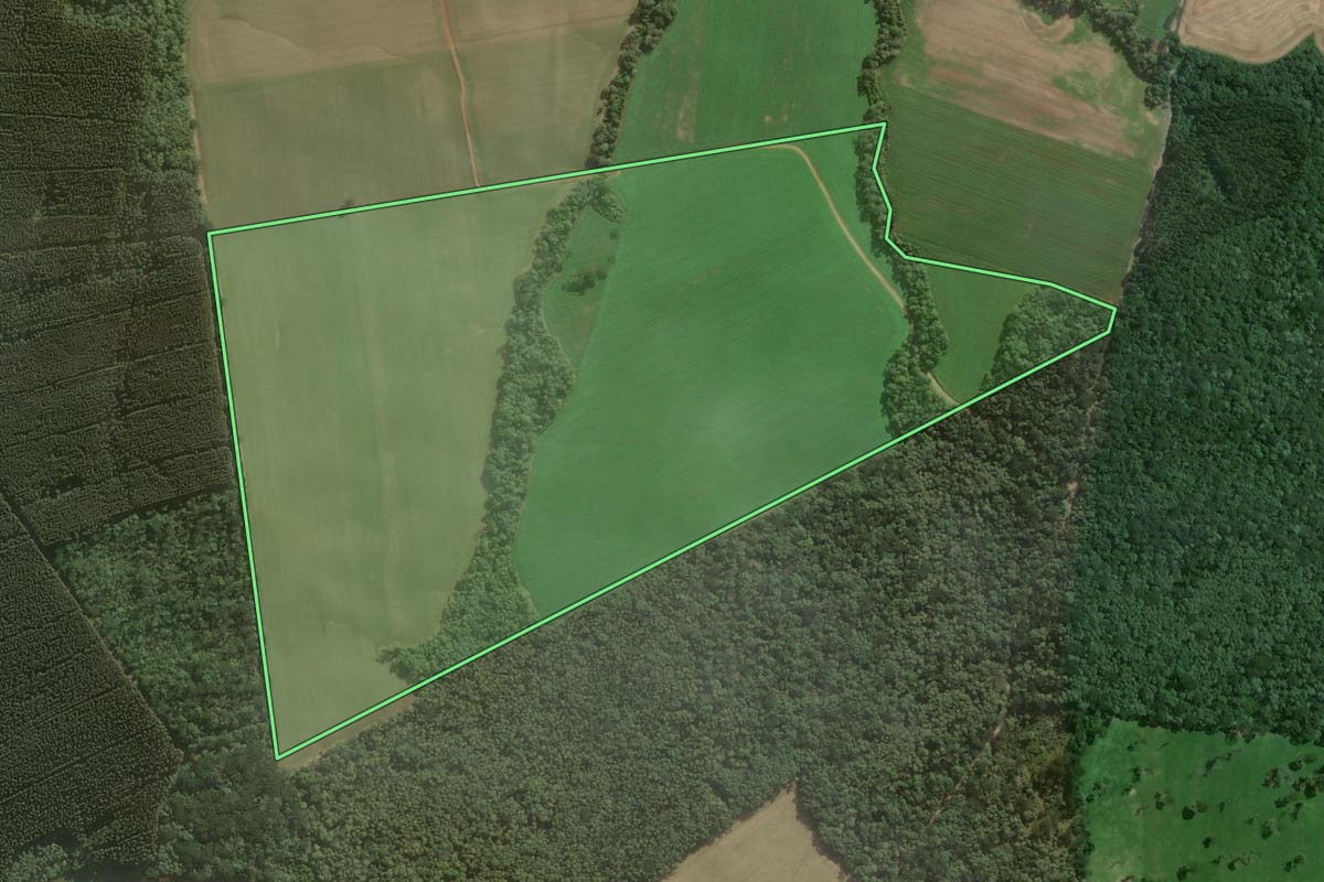 Imagem de satélite do imóvel rural em Mafra (SC), com o contorno declarado no CAR desenhado por cima.