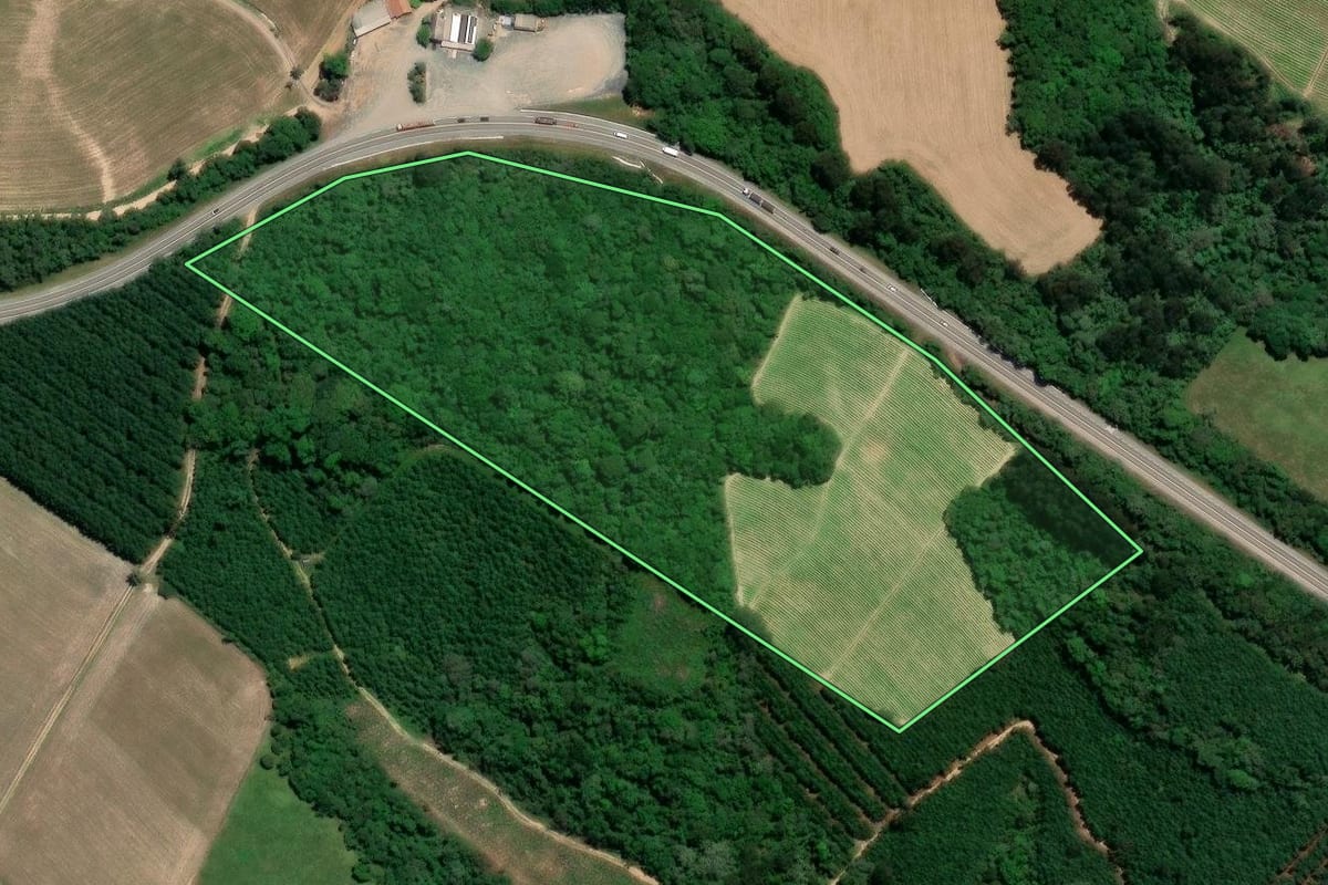 Imagem de satélite do imóvel rural em Mafra (SC), com o contorno declarado no CAR desenhado por cima.