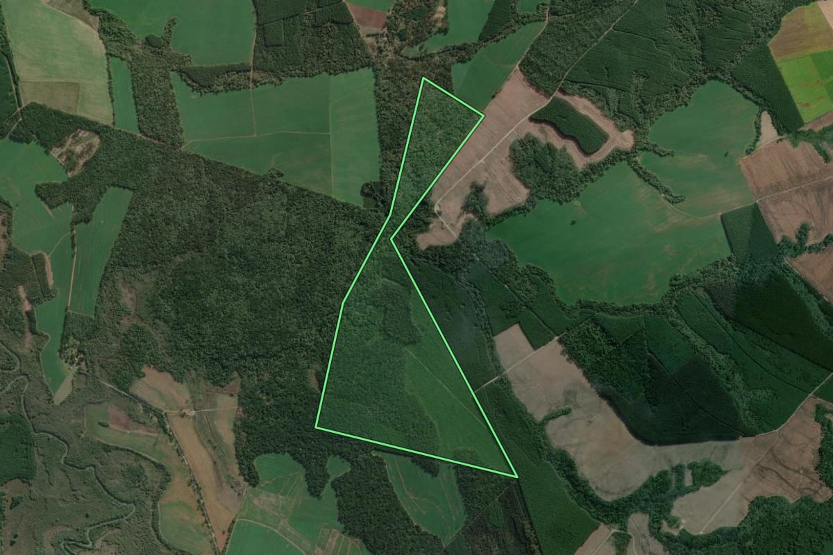 Imagem de satélite do imóvel rural em Mafra (SC), com o contorno declarado no CAR desenhado por cima.