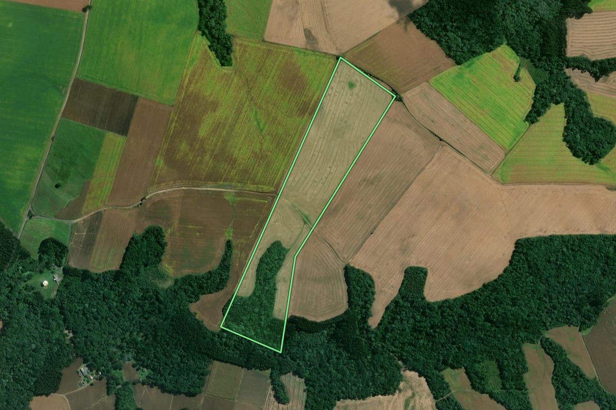 Imagem de satélite do imóvel rural em Mafra (SC), com o contorno declarado no CAR desenhado por cima.