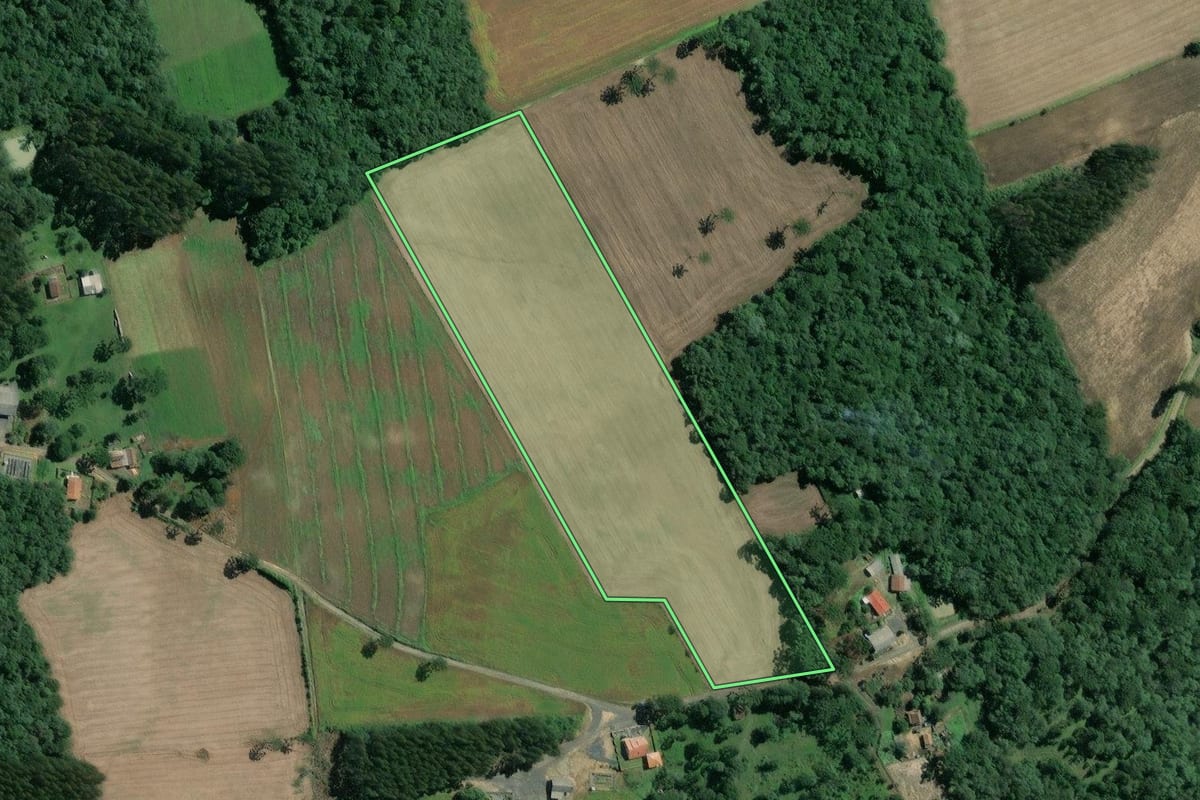 Imagem de satélite do imóvel rural em Mafra (SC), com o contorno declarado no CAR desenhado por cima.