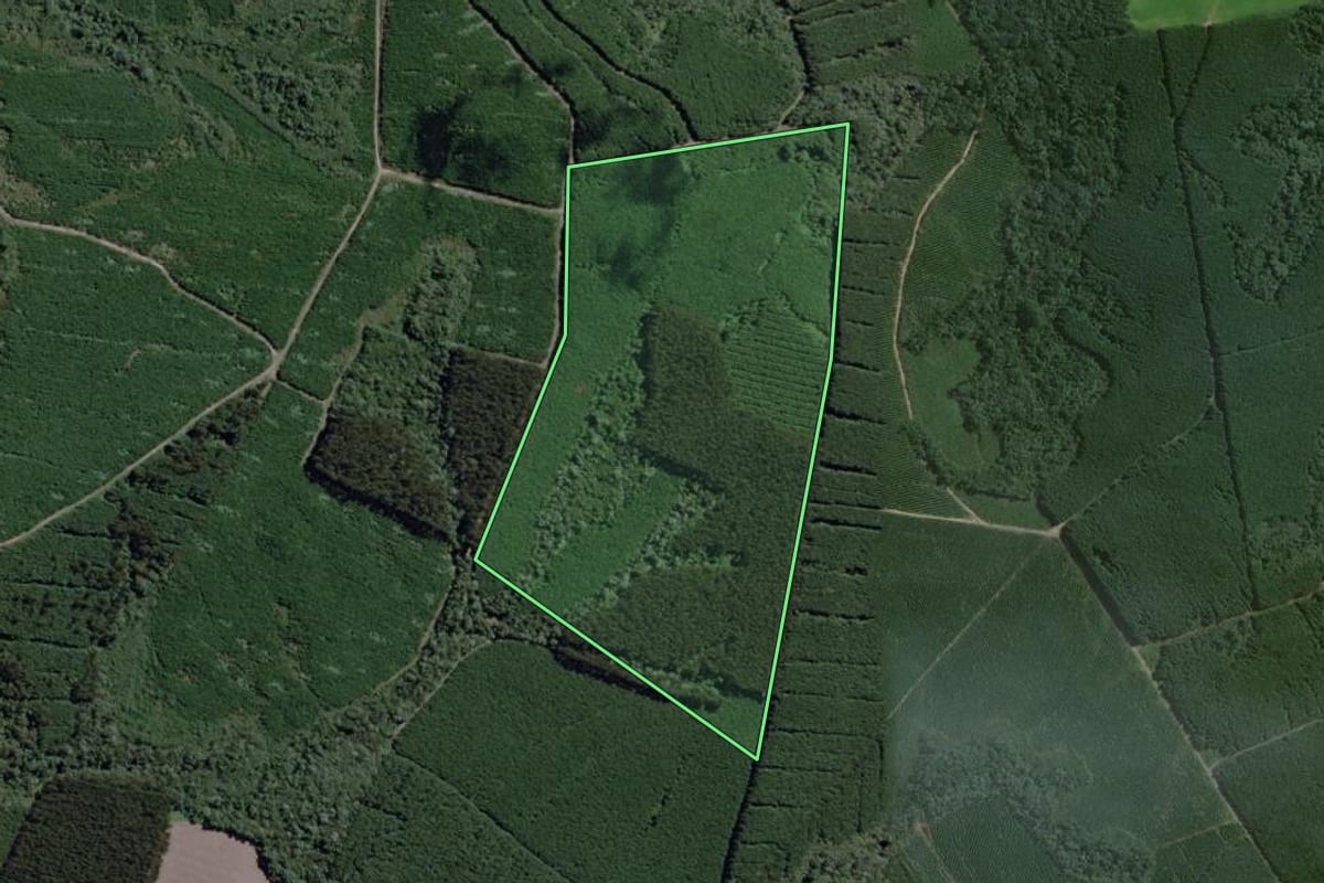 Imagem de satélite do imóvel rural em Mafra (SC), com o contorno declarado no CAR desenhado por cima.