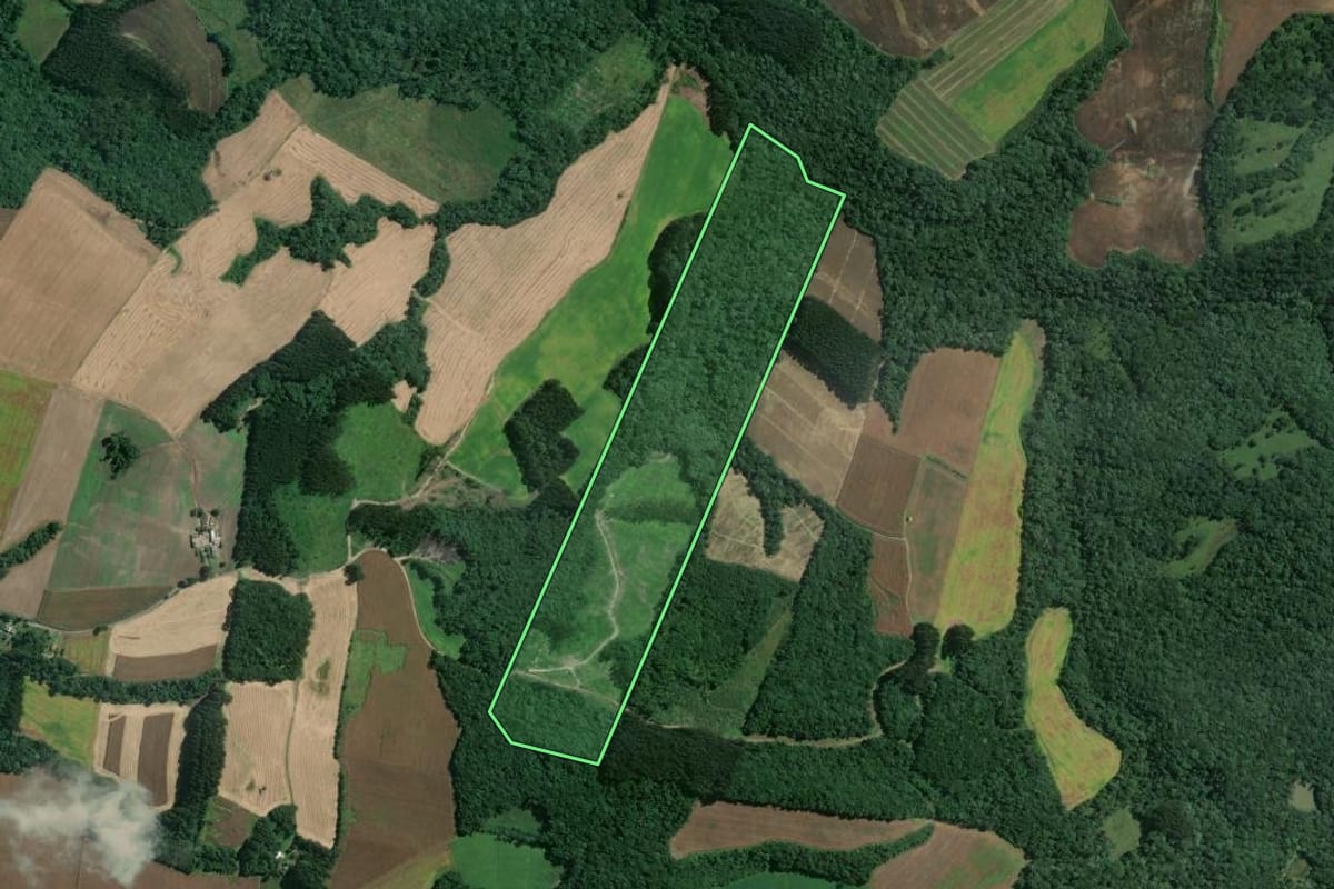 Imagem de satélite do imóvel rural em Mafra (SC), com o contorno declarado no CAR desenhado por cima.