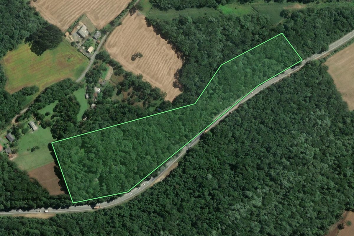 Imagem de satélite do imóvel rural em Mafra (SC), com o contorno declarado no CAR desenhado por cima.