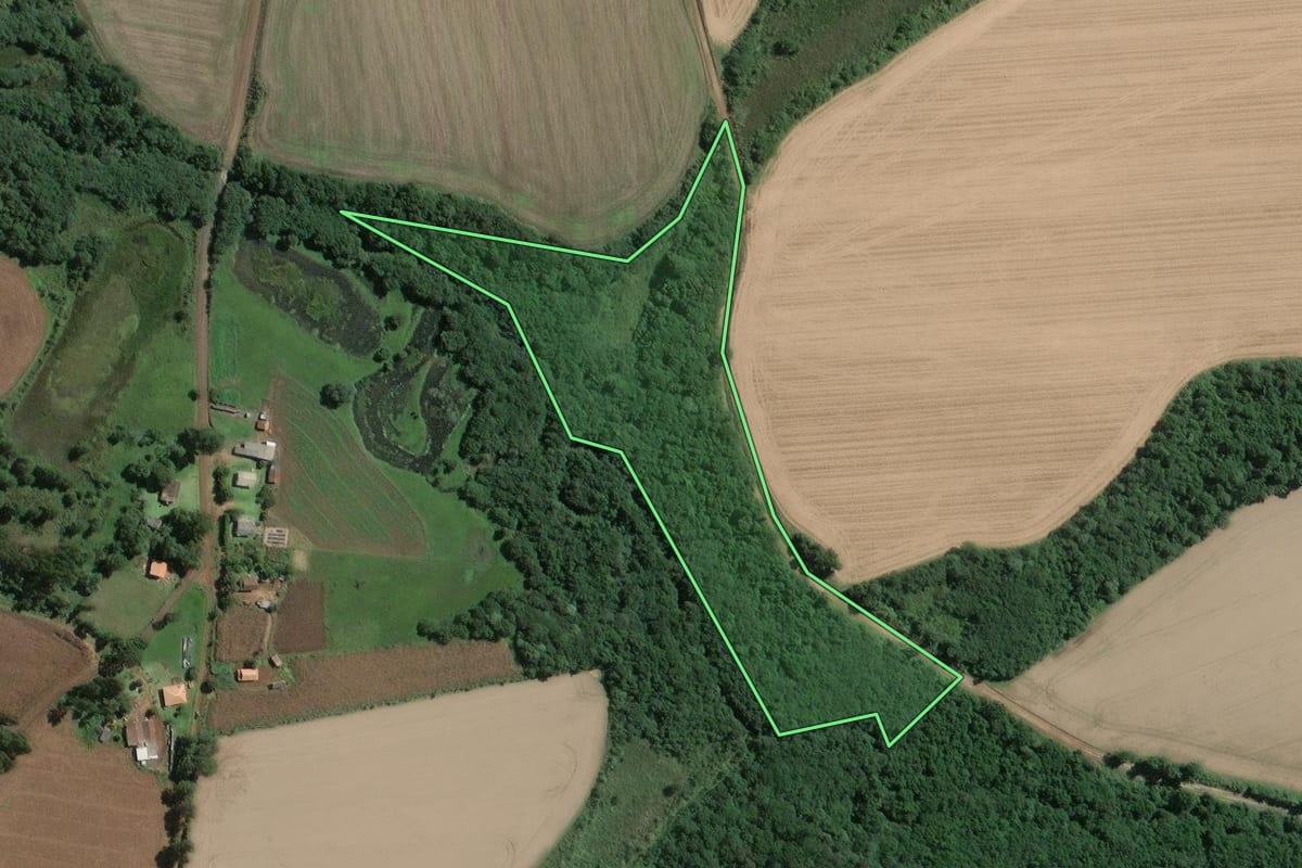 Imagem de satélite do imóvel rural em Mafra (SC), com o contorno declarado no CAR desenhado por cima.