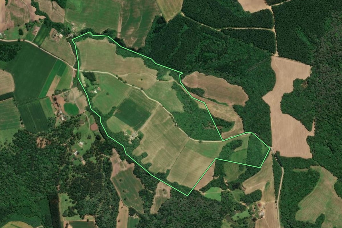 Imagem de satélite do imóvel rural em Mafra (SC), com o contorno declarado no CAR desenhado por cima.