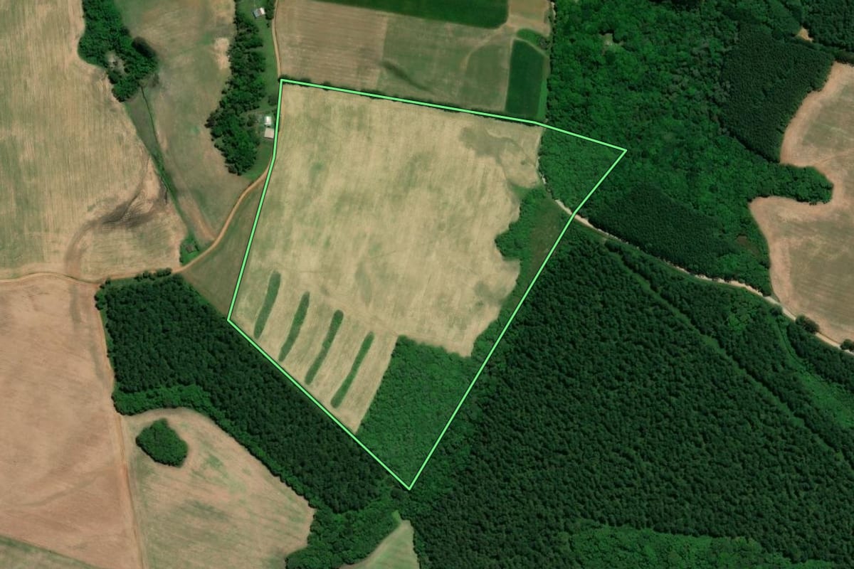 Imagem de satélite do imóvel rural em Mafra (SC), com o contorno declarado no CAR desenhado por cima.