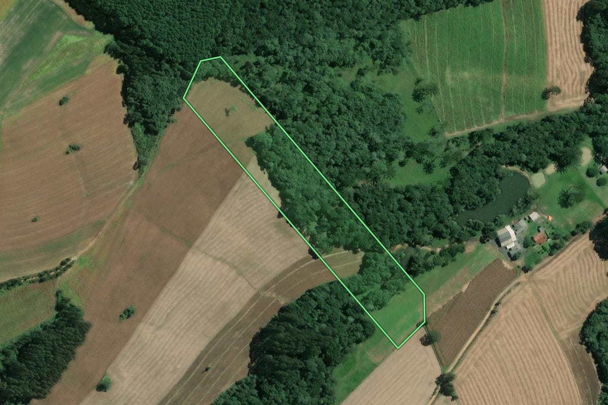 Imagem de satélite do imóvel rural em Mafra (SC), com o contorno declarado no CAR desenhado por cima.