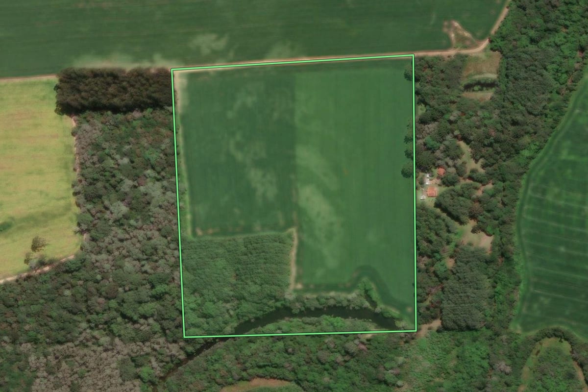 Imagem de satélite do imóvel rural em Mafra (SC), com o contorno declarado no CAR desenhado por cima.