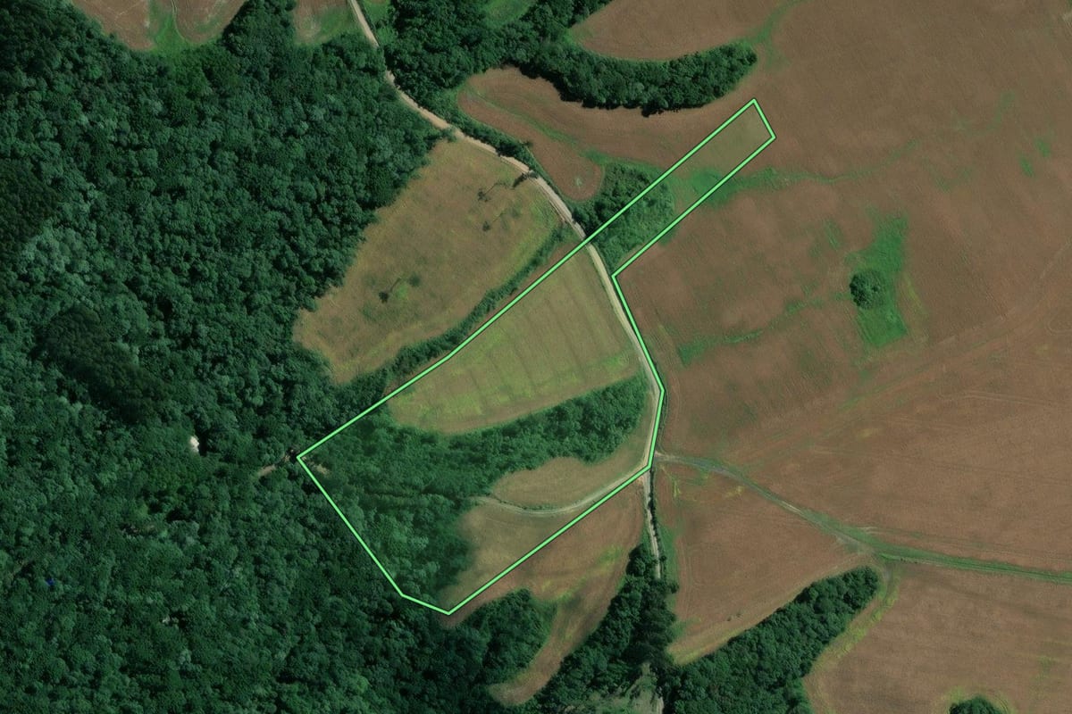 Imagem de satélite do imóvel rural em Mafra (SC), com o contorno declarado no CAR desenhado por cima.