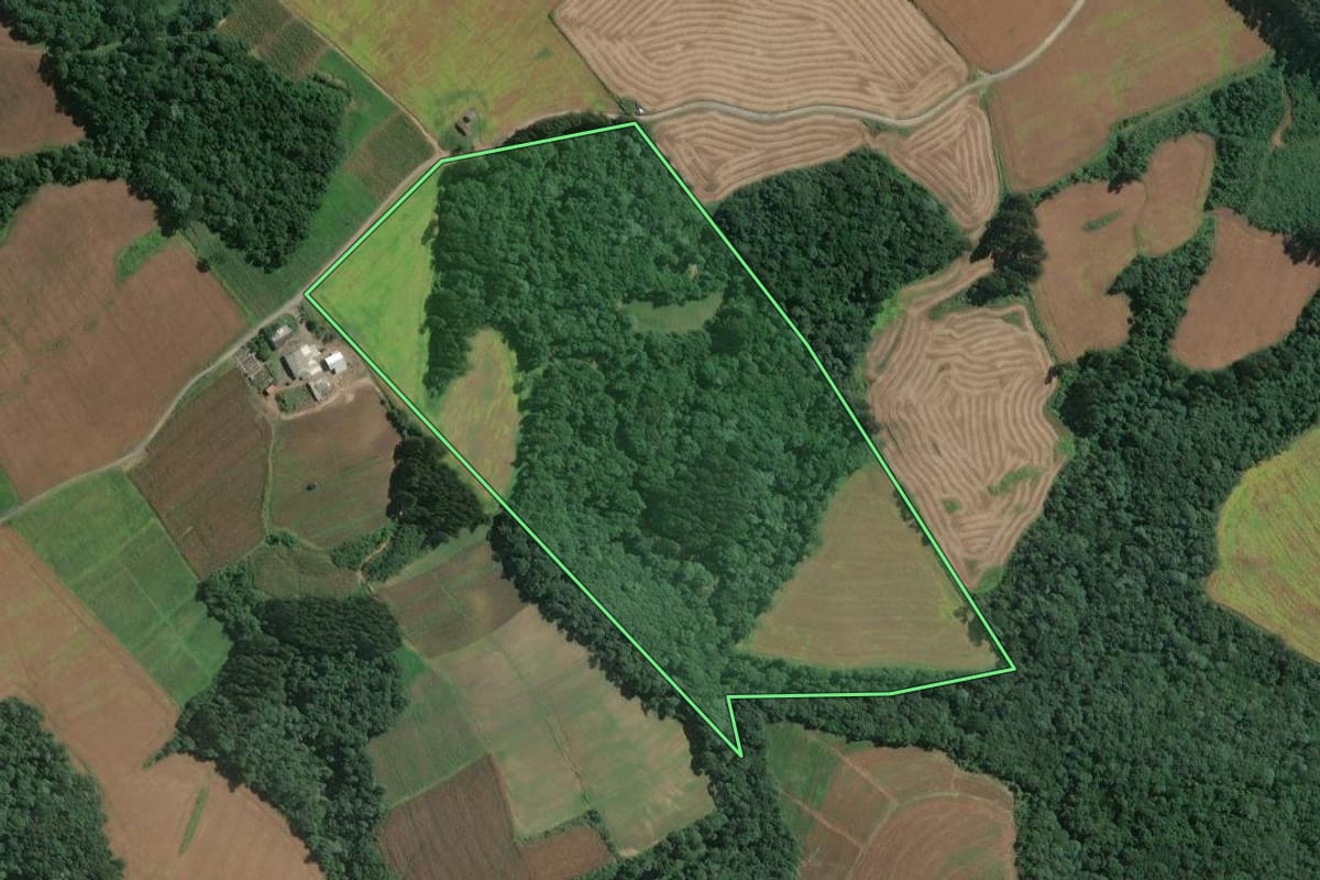 Imagem de satélite do imóvel rural em Mafra (SC), com o contorno declarado no CAR desenhado por cima.
