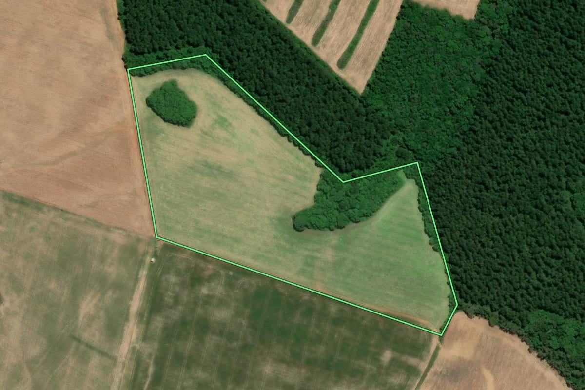 Imagem de satélite do imóvel rural em Mafra (SC), com o contorno declarado no CAR desenhado por cima.