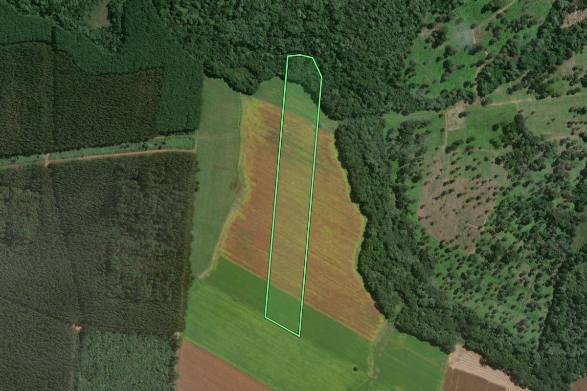 Imagem de satélite do imóvel rural em Mafra (SC), com o contorno declarado no CAR desenhado por cima.