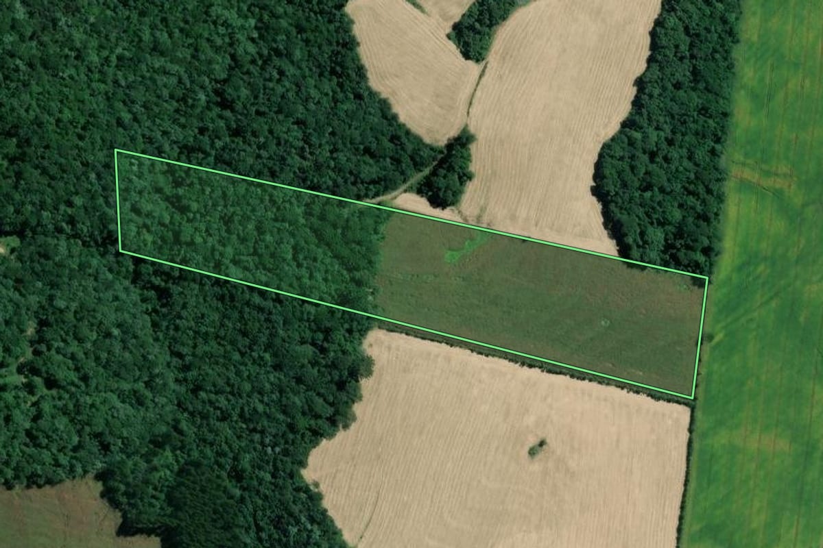 Imagem de satélite do imóvel rural em Mafra (SC), com o contorno declarado no CAR desenhado por cima.