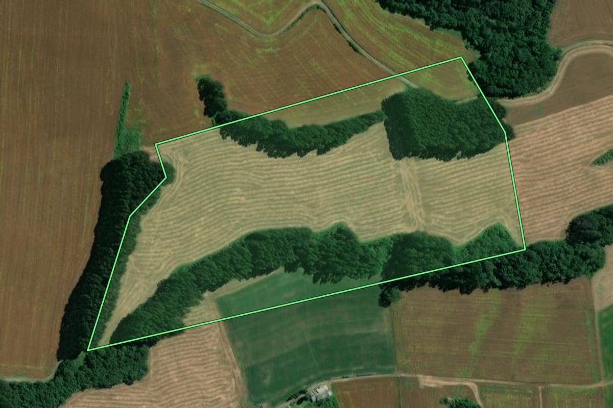 Imagem de satélite do imóvel rural em Mafra (SC), com o contorno declarado no CAR desenhado por cima.