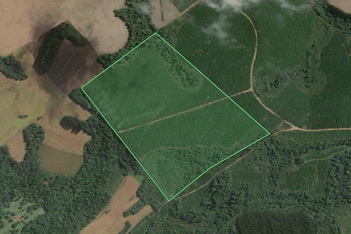 Imagem de satélite do imóvel rural em Mafra (SC), com o contorno declarado no CAR desenhado por cima.