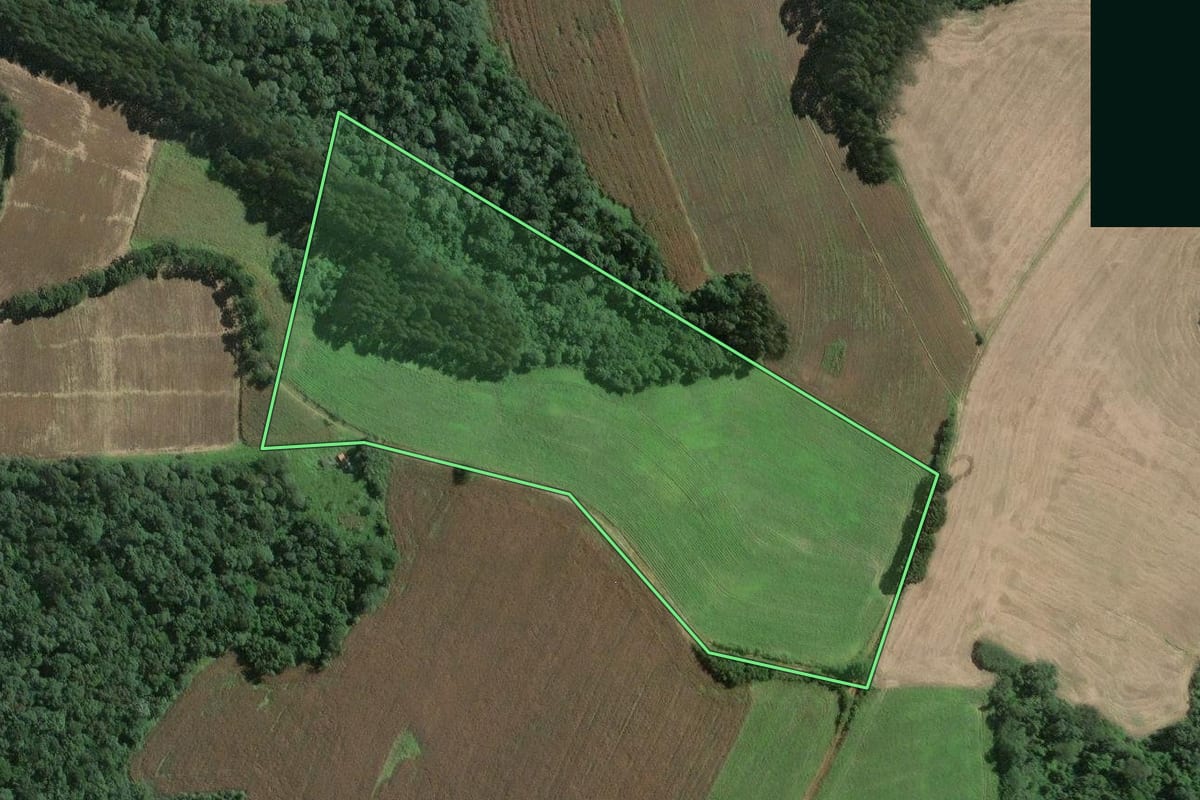 Imagem de satélite do imóvel rural em Mafra (SC), com o contorno declarado no CAR desenhado por cima.