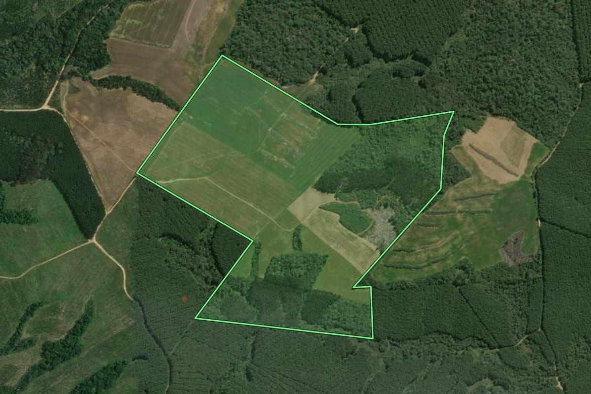 Imagem de satélite do imóvel rural em Mafra (SC), com o contorno declarado no CAR desenhado por cima.