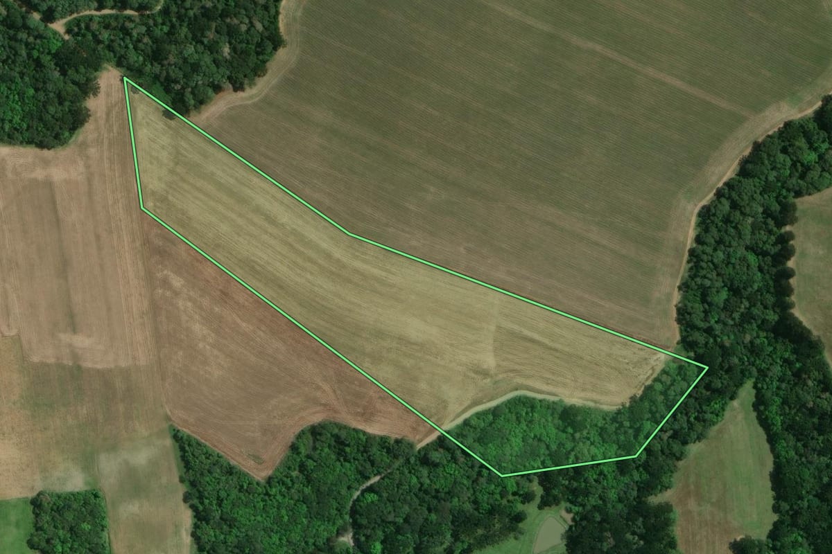 Imagem de satélite do imóvel rural em Mafra (SC), com o contorno declarado no CAR desenhado por cima.
