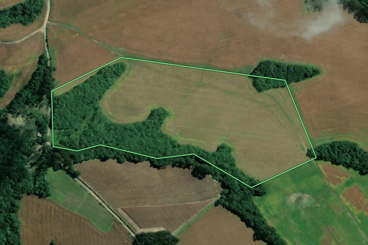 Imagem de satélite do imóvel rural em Mafra (SC), com o contorno declarado no CAR desenhado por cima.
