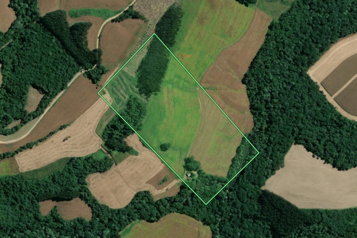 Imagem de satélite do imóvel rural em Mafra (SC), com o contorno declarado no CAR desenhado por cima.