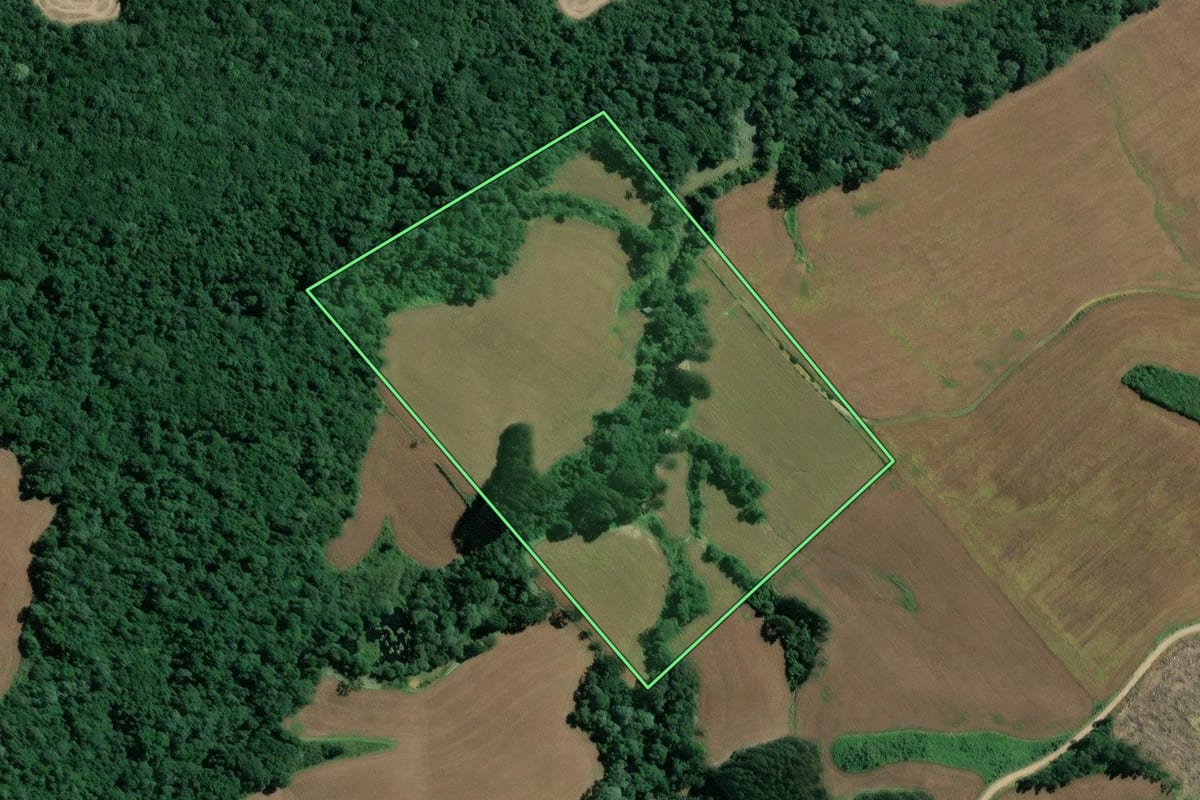 Imagem de satélite do imóvel rural em Mafra (SC), com o contorno declarado no CAR desenhado por cima.