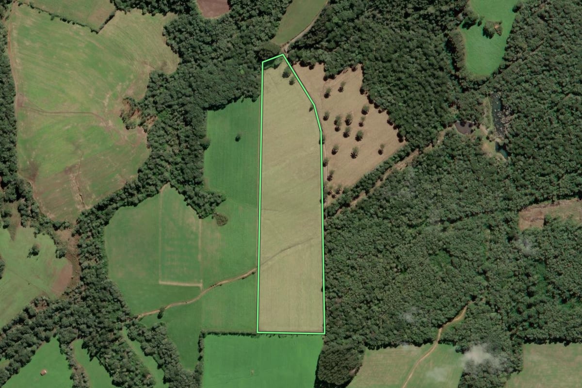 Imagem de satélite do imóvel rural em Mafra (SC), com o contorno declarado no CAR desenhado por cima.