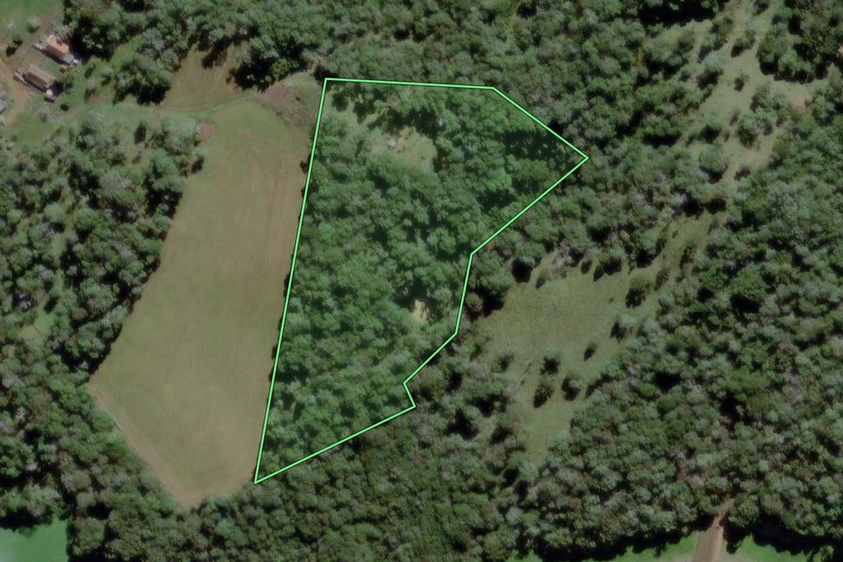 Imagem de satélite do imóvel rural em Mafra (SC), com o contorno declarado no CAR desenhado por cima.