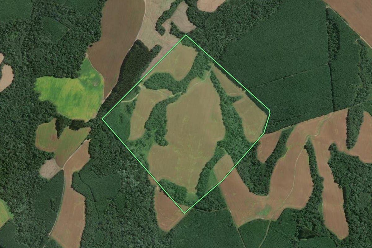 Imagem de satélite do imóvel rural em Mafra (SC), com o contorno declarado no CAR desenhado por cima.