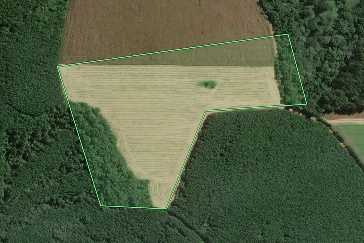 Imagem de satélite do imóvel rural em Mafra (SC), com o contorno declarado no CAR desenhado por cima.