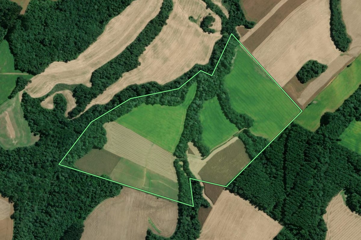 Imagem de satélite do imóvel rural em Mafra (SC), com o contorno declarado no CAR desenhado por cima.