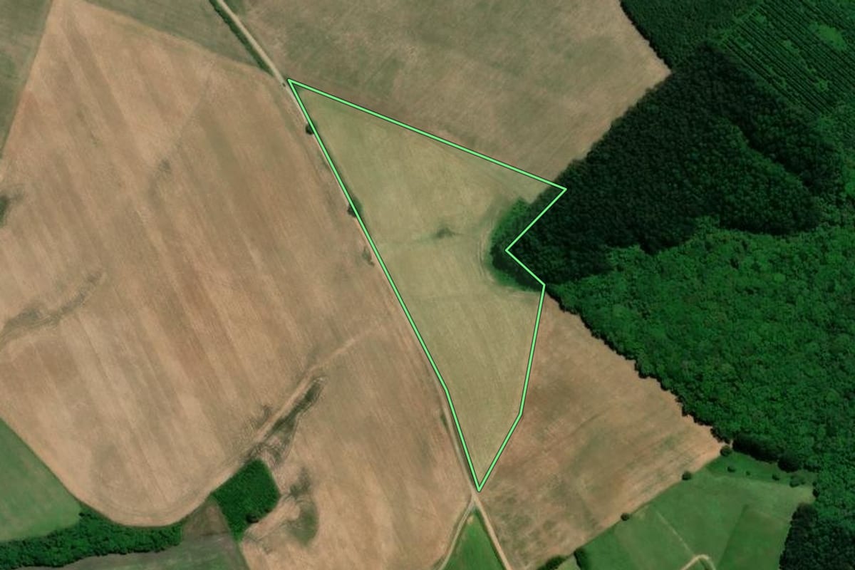 Imagem de satélite do imóvel rural em Mafra (SC), com o contorno declarado no CAR desenhado por cima.