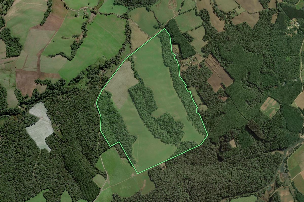 Imagem de satélite do imóvel rural em Mafra (SC), com o contorno declarado no CAR desenhado por cima.