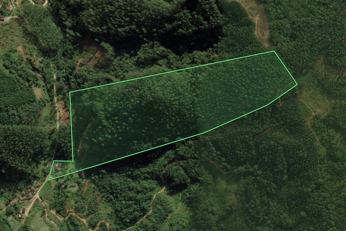 Imagem de satélite do imóvel rural em Major Gercino (SC), com o contorno declarado no CAR desenhado por cima.