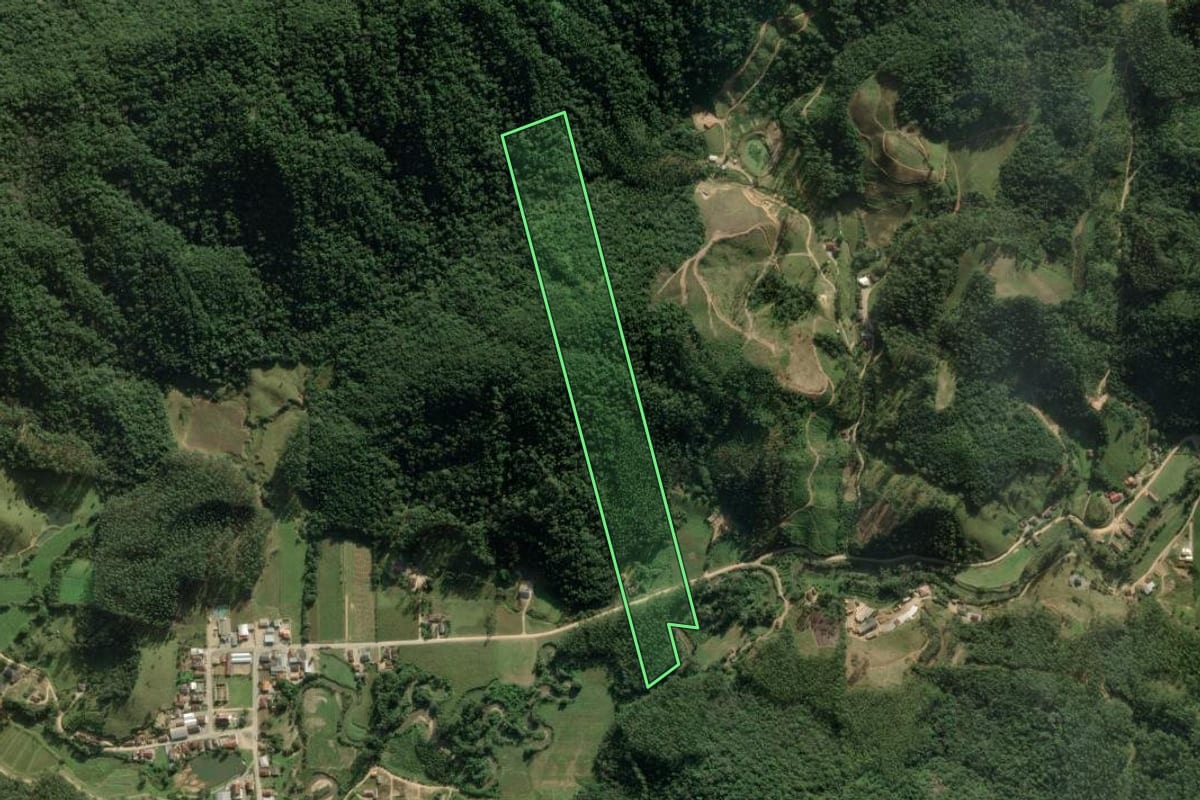 Imagem de satélite do imóvel rural em Major Gercino (SC), com o contorno declarado no CAR desenhado por cima.