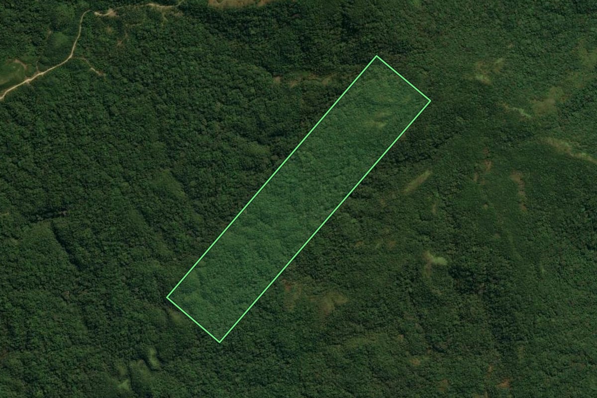 Imagem de satélite do imóvel rural em Major Gercino (SC), com o contorno declarado no CAR desenhado por cima.