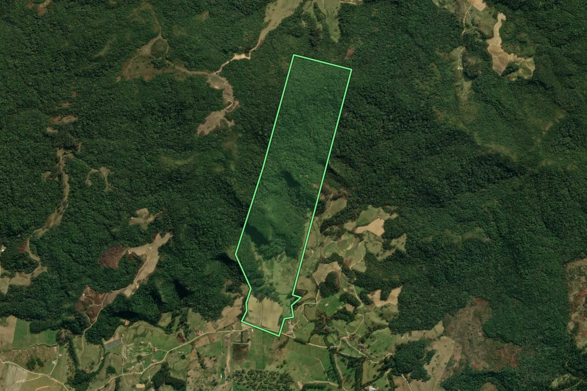 Imagem de satélite do imóvel rural em Major Gercino (SC), com o contorno declarado no CAR desenhado por cima.