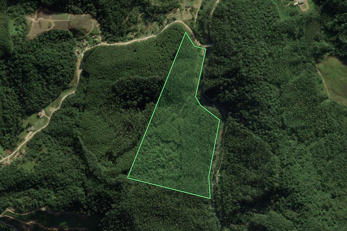 Imagem de satélite do imóvel rural em Major Gercino (SC), com o contorno declarado no CAR desenhado por cima.