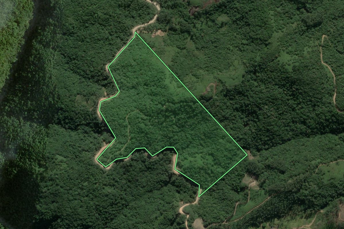 Imagem de satélite do imóvel rural em Major Gercino (SC), com o contorno declarado no CAR desenhado por cima.