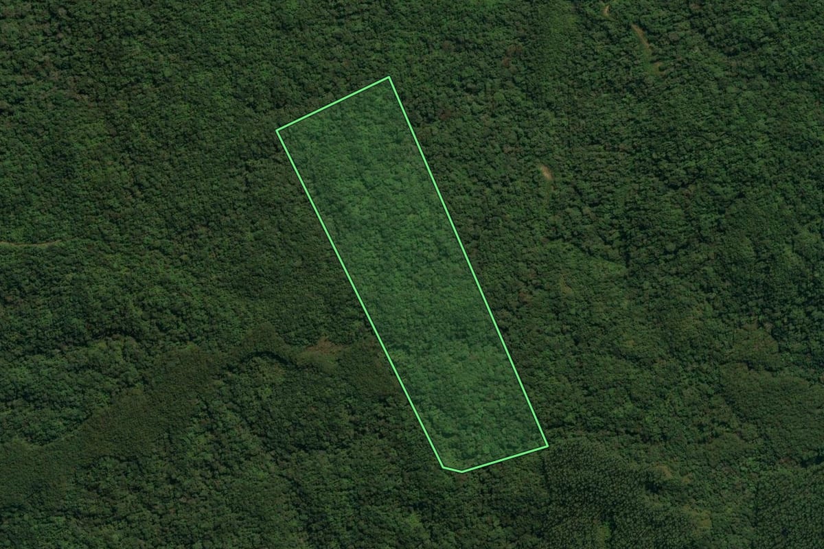 Imagem de satélite do imóvel rural em Major Gercino (SC), com o contorno declarado no CAR desenhado por cima.