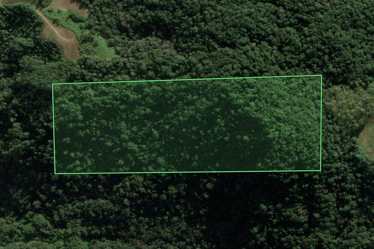 Imagem de satélite do imóvel rural em Major Gercino (SC), com o contorno declarado no CAR desenhado por cima.