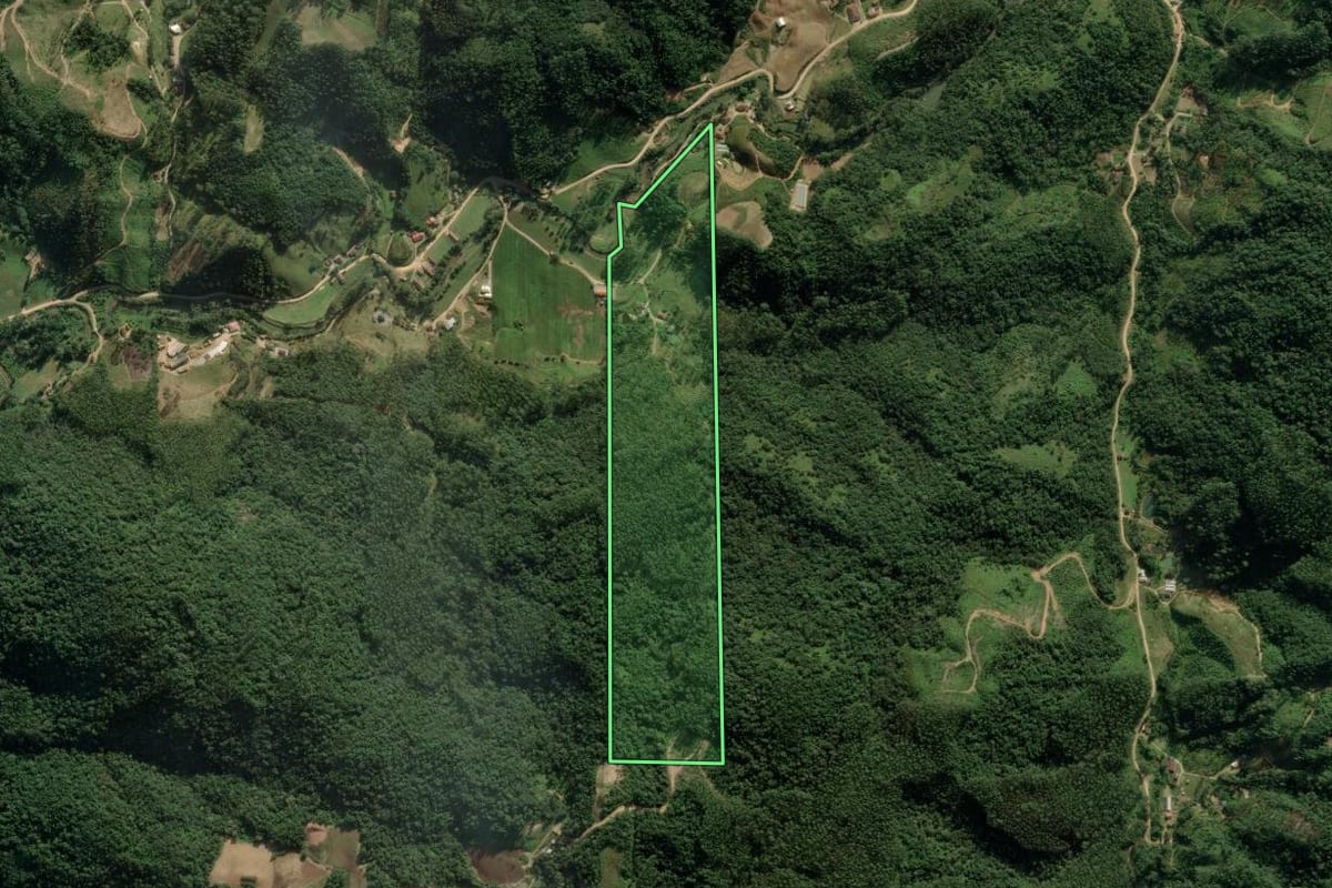 Imagem de satélite do imóvel rural em Major Gercino (SC), com o contorno declarado no CAR desenhado por cima.