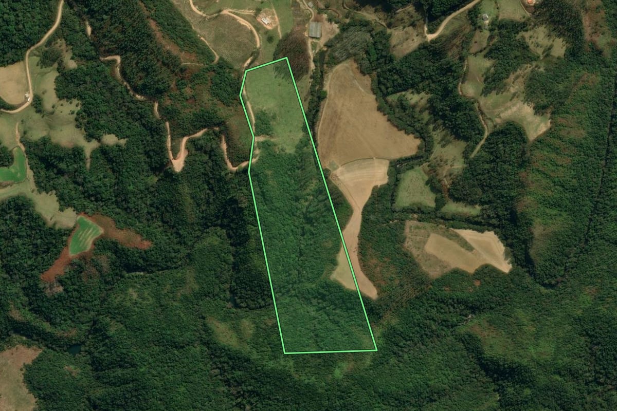 Imagem de satélite do imóvel rural em Major Gercino (SC), com o contorno declarado no CAR desenhado por cima.