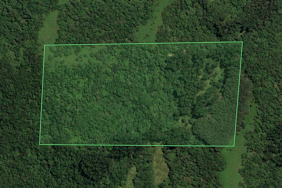 Imagem de satélite do imóvel rural em Major Gercino (SC), com o contorno declarado no CAR desenhado por cima.
