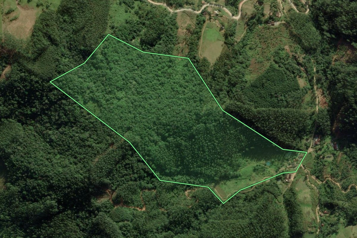 Imagem de satélite do imóvel rural em Major Gercino (SC), com o contorno declarado no CAR desenhado por cima.