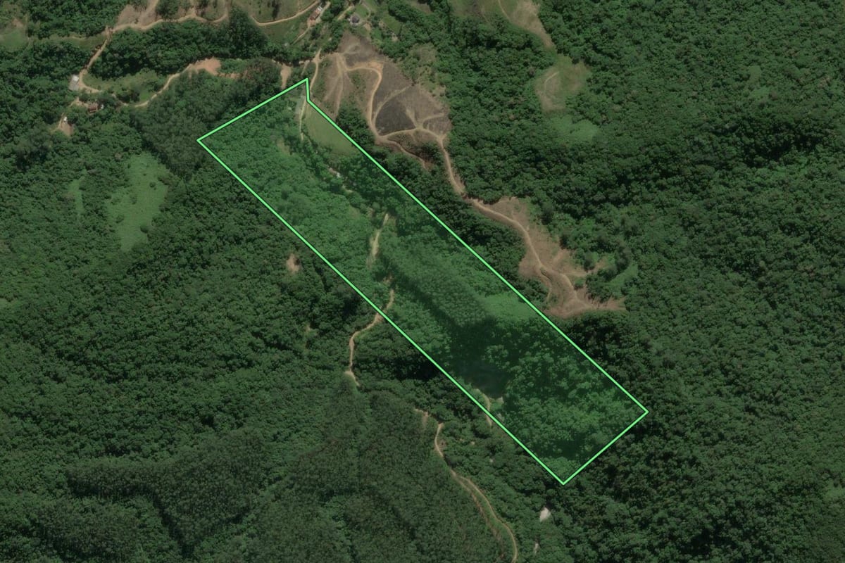Imagem de satélite do imóvel rural em Major Gercino (SC), com o contorno declarado no CAR desenhado por cima.