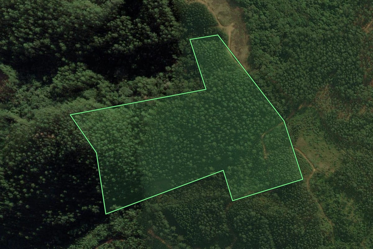 Imagem de satélite do imóvel rural em Major Gercino (SC), com o contorno declarado no CAR desenhado por cima.