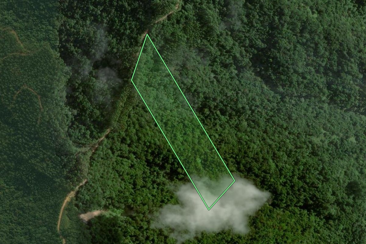 Imagem de satélite do imóvel rural em Major Gercino (SC), com o contorno declarado no CAR desenhado por cima.